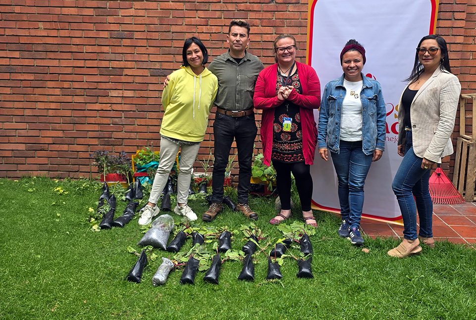 Manos con guantes siembran plántulas verdes en tierra oscura